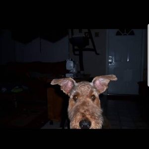 Meet your Posher, Tina